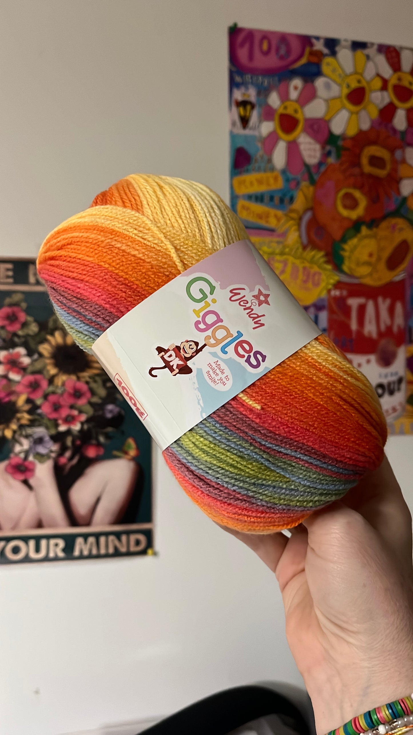 Wendy Giggles DK Varigated yarn