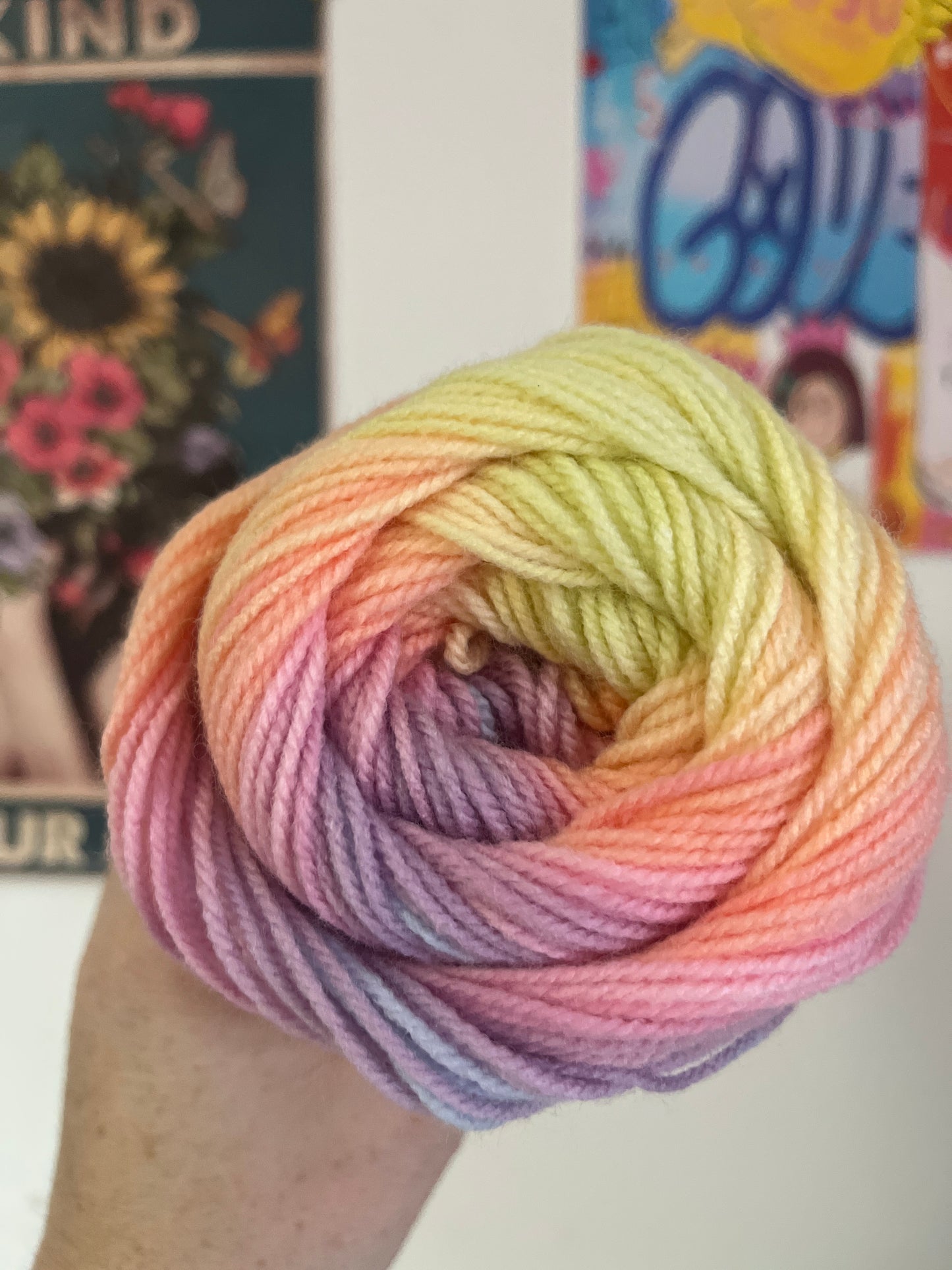 Wendy Giggles DK Varigated yarn